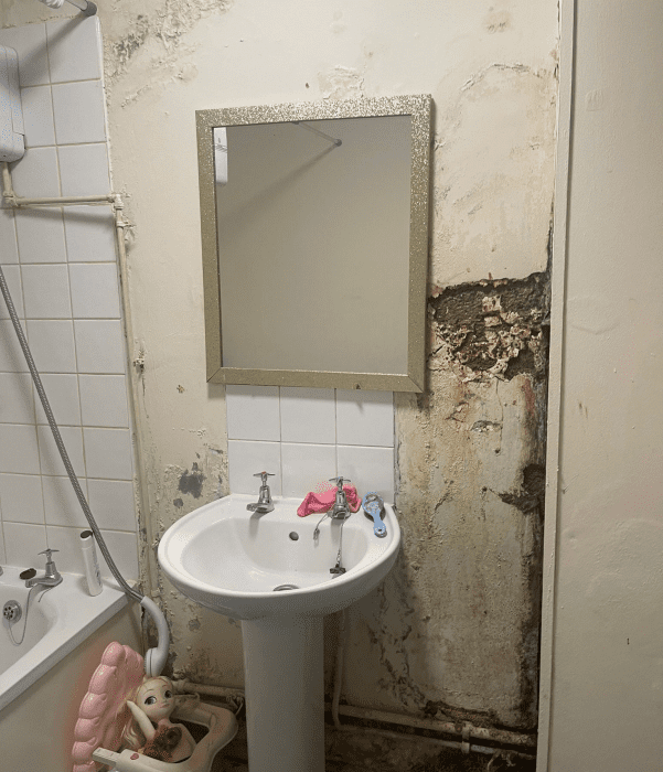 Mrs L's bathroom in disrepair